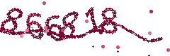 Image with the verification code