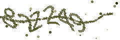 Image with the verification code