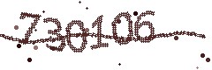 Image with the verification code