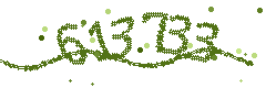 Image with the verification code