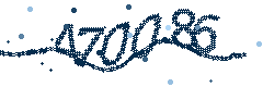 Security verification code