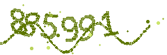 Image with the verification code