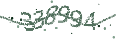 Image with the verification code