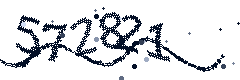 Image with the verification code
