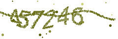 Image with the verification code