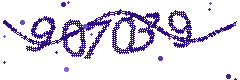 Security verification code
