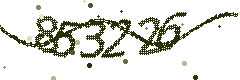 Image with the verification code