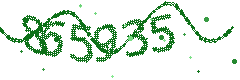 Image with the verification code