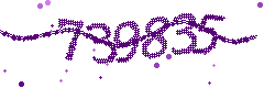 Image with the verification code