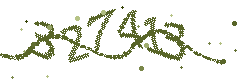 Image with the verification code