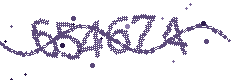 Image with the verification code