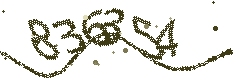 Image with the verification code