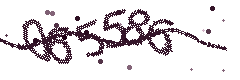 Image with the verification code