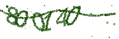 Image with the verification code