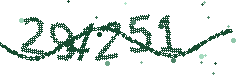 Security verification code