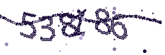 Image with the verification code