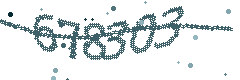 Security verification code