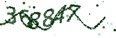Image with the verification code