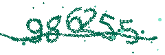 Image with the verification code