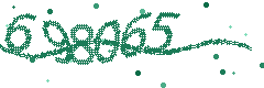 Security verification code