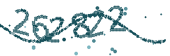 Security verification code