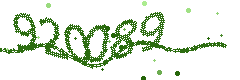 Security verification code