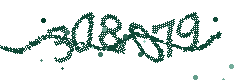 Image with the verification code