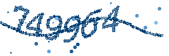 Security verification code