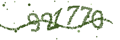 Image with the verification code