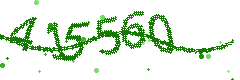 Security verification code
