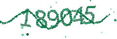 Security verification code