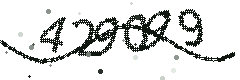 Image with the verification code