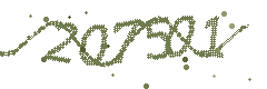 Image with the verification code
