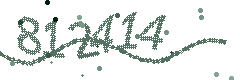 Security verification code