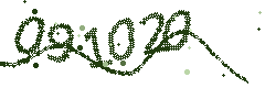 Image with the verification code