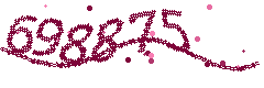 Image with the verification code