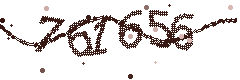 Image with the verification code