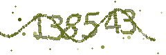Image with the verification code