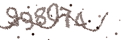 Image with the verification code