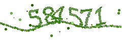 Image with the verification code