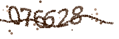Image with the verification code