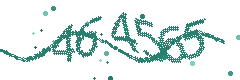 Security verification code
