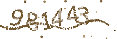 Image with the verification code