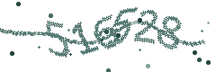 Image with the verification code