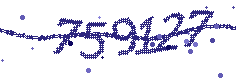 Image with the verification code