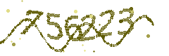 Image with the verification code
