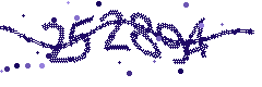 Security verification code