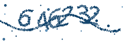 Security verification code
