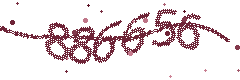 Image with the verification code