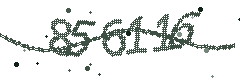 Security verification code